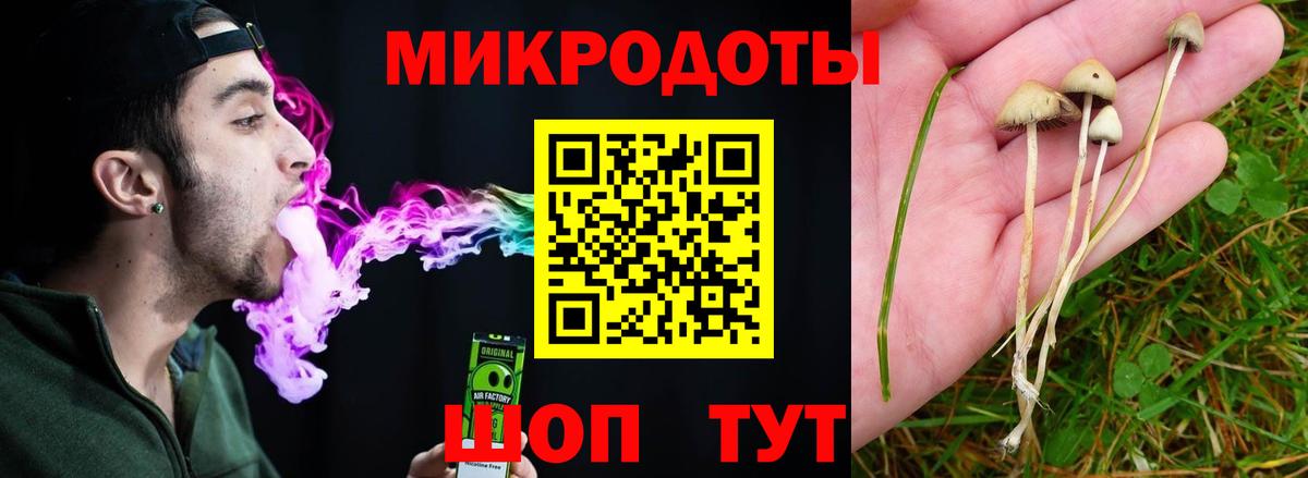 Псилоцибиновые грибы MAGIC MUSHROOMS Оренбург
