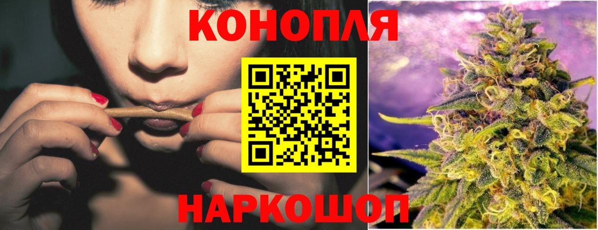 Конопля сатива Оренбург